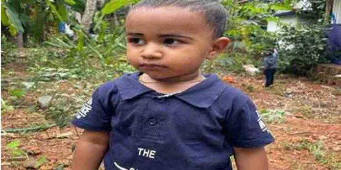 ചെട്ടിപ്പടി കുപ്പി വളവില് വലിച്ചെറിഞ്ഞ ഒഴിഞ്ഞ എലിവിഷത്തിന്റെ ട്യൂബ് എടുത്ത് വായില് തേച്ച മൂന്നു വയസുകാരന് മരിച്ചു ചെട്ടിപ്പടി കുപ്പി വളവില് വലിച്ചെറിഞ്ഞ ഒഴിഞ്ഞ എലിവിഷത്തിന്റെ ട്യൂബ് എടുത്ത് വായില് തേച്ച മൂന്നു വയസുകാരന് മരിച്ചു