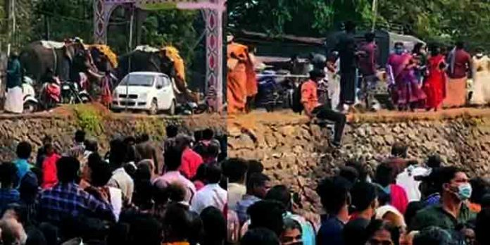 ആറാട്ടുപുഴ പൂരത്തിനിടെ ആനയിടഞ്ഞു ആറാട്ടുപുഴ പൂരത്തിനിടെ ആനയിടഞ്ഞു