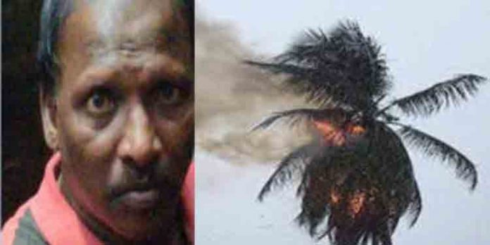 ഉത്സവാഘോഷത്തിനിടെ തെങ്ങിന് തീപിടിച്ച് കടപുഴകി വീണു : ഒരാൾക്ക് ദാരുണാന്ത്യം ഉത്സവാഘോഷത്തിനിടെ തെങ്ങിന് തീപിടിച്ച് കടപുഴകി വീണു : ഒരാൾക്ക് ദാരുണാന്ത്യം