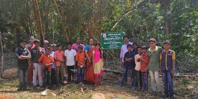 വിദ്യാവനം പദ്ധതി ഒരുങ്ങി വിദ്യാവനം പദ്ധതി ഒരുങ്ങി