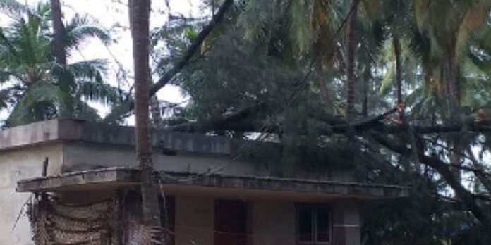 പുഞ്ചാവി കടപ്പുറത്ത് ചുഴലിക്കാറ്റില് വന് നാശനഷ്ടം പുഞ്ചാവി കടപ്പുറത്ത് ചുഴലിക്കാറ്റില് വന് നാശനഷ്ടം