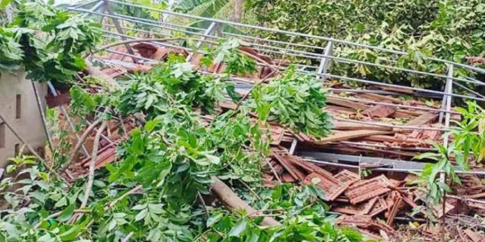 വേനല് മഴയിലും കാറ്റിലും കനത്ത നഷ്ടം വേനല് മഴയിലും കാറ്റിലും കനത്ത നഷ്ടം