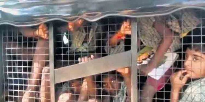 ഓട്ടോറിക്ഷയില് 25 വിദ്യാര്ഥികളെ കുത്തിനിറച്ച സംഭവത്തില് അന്വേഷണം ഓട്ടോറിക്ഷയില് 25 വിദ്യാര്ഥികളെ കുത്തിനിറച്ച സംഭവത്തില് അന്വേഷണം