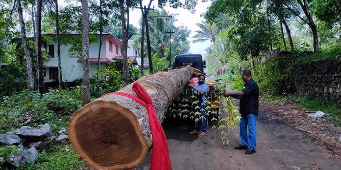 ഇടപ്പള്ളി അഞ്ചുമന ക്ഷേത്രത്തിന്റെ കൊടിമരം നിർമ്മിക്കാൻ തേക്ക്മരം കോന്നിയിൽ നിന്ന് ഇടപ്പള്ളി അഞ്ചുമന ക്ഷേത്രത്തിന്റെ കൊടിമരം നിർമ്മിക്കാൻ തേക്ക്മരം കോന്നിയിൽ നിന്ന്