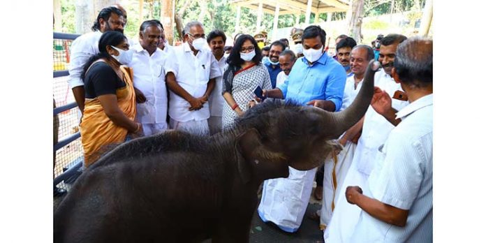 കോന്നിയിലെ കണ്ണൻ കൊച്ചയ്യപ്പനായി കോന്നിയിലെ കണ്ണൻ കൊച്ചയ്യപ്പനായി