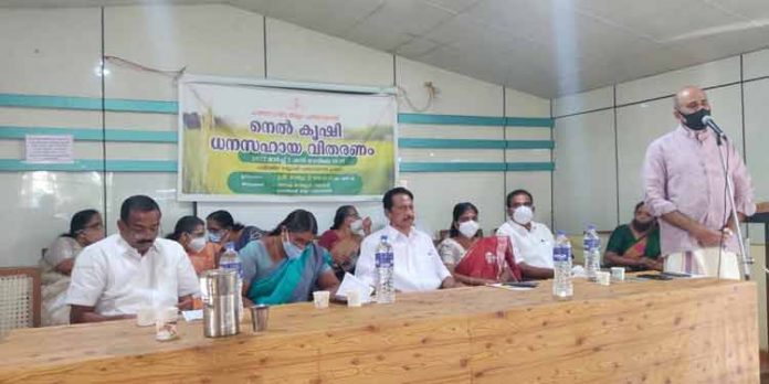 നെല്കൃഷി കൂലി ചിലവ് : രണ്ടാം ഗഡു വിതരണം ചെയ്തു നെല്കൃഷി കൂലി ചിലവ് : രണ്ടാം ഗഡു വിതരണം ചെയ്തു