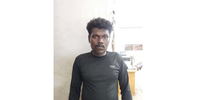 സോളാർ വിളക്കിലെ ബാറ്ററികൾ മോഷ്ടിച്ച കേസിൽ ഒരാൾ അറസ്റ്റിൽ സോളാർ വിളക്കിലെ ബാറ്ററികൾ മോഷ്ടിച്ച കേസിൽ ഒരാൾ അറസ്റ്റിൽ