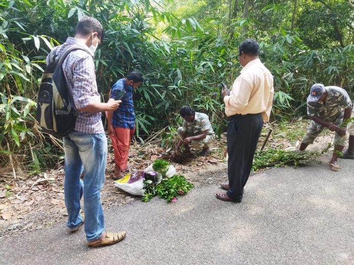 വന ദിനാചാരണം സംഘടിപ്പിച്ചു വന ദിനാചാരണം സംഘടിപ്പിച്ചു