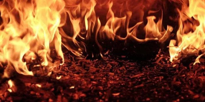 ചിതലിനെ കൊല്ലാനുള്ള ശ്രമത്തിനിടെ പെണ്കുട്ടി പൊള്ളലേറ്റു മരിച്ചു ചിതലിനെ കൊല്ലാനുള്ള ശ്രമത്തിനിടെ പെണ്കുട്ടി പൊള്ളലേറ്റു മരിച്ചു