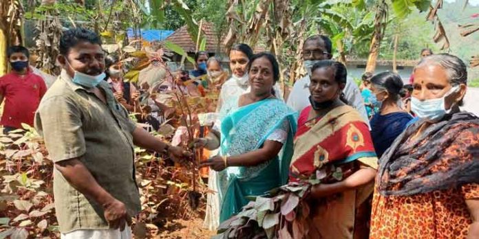 പഴവങ്ങാടി മക്കപ്പുഴ ഗവൺമെന്റ് യുപി സ്കൂളില് വിളവെടുപ്പ് മഹോത്സവം പഴവങ്ങാടി മക്കപ്പുഴ ഗവൺമെന്റ് യുപി സ്കൂളില് വിളവെടുപ്പ് മഹോത്സവം