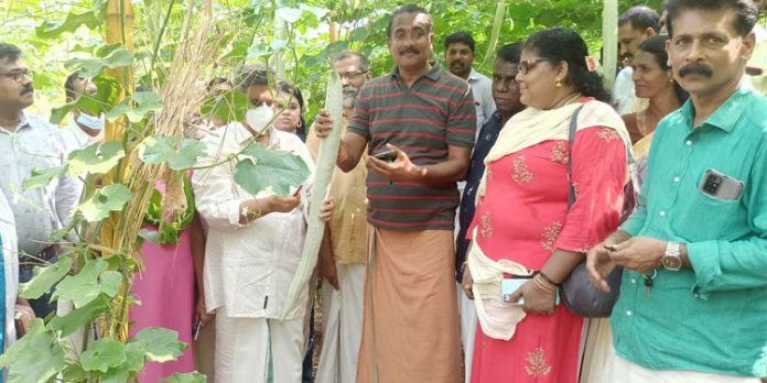 വിഷുക്കാലം ലക്ഷ്യമാക്കി ജനകീയ സമഗ്ര പച്ചക്കറി കൃഷിക്ക് വെണ്ണിക്കുളത്ത് തുടക്കം വിഷുക്കാലം ലക്ഷ്യമാക്കി ജനകീയ സമഗ്ര പച്ചക്കറി കൃഷിക്ക് വെണ്ണിക്കുളത്ത് തുടക്കം