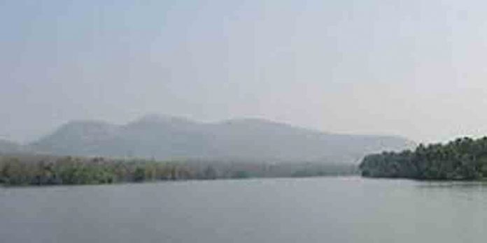പെരിയാറില്നിന്ന് ശേഖരിച്ച രാസമാലിന്യ സാമ്പിളുകളുടെ പരിശോധന ആഴ്ചകള് പിന്നിട്ടിട്ടും പൂര്ത്തിയായില്ല പെരിയാറില്നിന്ന് ശേഖരിച്ച രാസമാലിന്യ സാമ്പിളുകളുടെ പരിശോധന ആഴ്ചകള് പിന്നിട്ടിട്ടും പൂര്ത്തിയായില്ല