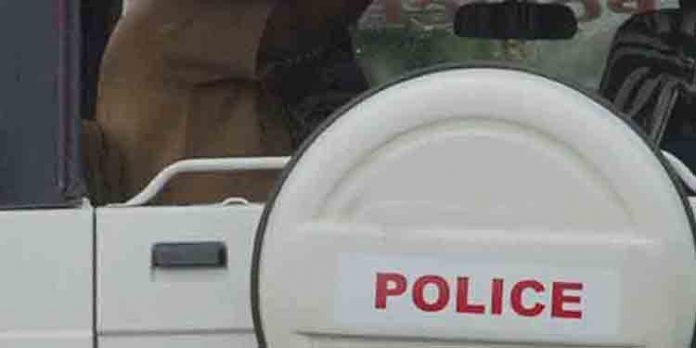 പോലീസ് വാഹന പരിശോധനക്കിടയിൽ കുപ്രസിദ്ധ മോഷ്ടാവും സഹായിയും പിടിയിൽ പോലീസ് വാഹന പരിശോധനക്കിടയിൽ കുപ്രസിദ്ധ മോഷ്ടാവും സഹായിയും പിടിയിൽ