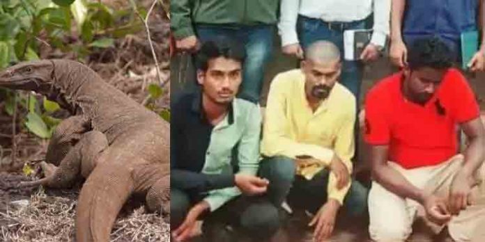 മഹാരാഷ്ട്രയിലെ ഉടുമ്പിനെ ലൈംഗികമായി പീഡിപ്പിച്ച കേസില് ഒരാള് കൂടി അറസ്റ്റില് മഹാരാഷ്ട്രയിലെ ഉടുമ്പിനെ ലൈംഗികമായി പീഡിപ്പിച്ച കേസില് ഒരാള് കൂടി അറസ്റ്റില്