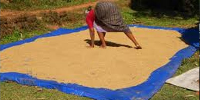 ക്വിന്റലിന് 15 കിലോ വരെ കിഴിവ് ; കുട്ടനാട്ടില് കര്ഷകരെ മില്ലുടമകള് പിഴിഞ്ഞൂറ്റുന്നു ക്വിന്റലിന് 15 കിലോ വരെ കിഴിവ് ; കുട്ടനാട്ടില് കര്ഷകരെ മില്ലുടമകള് പിഴിഞ്ഞൂറ്റുന്നു