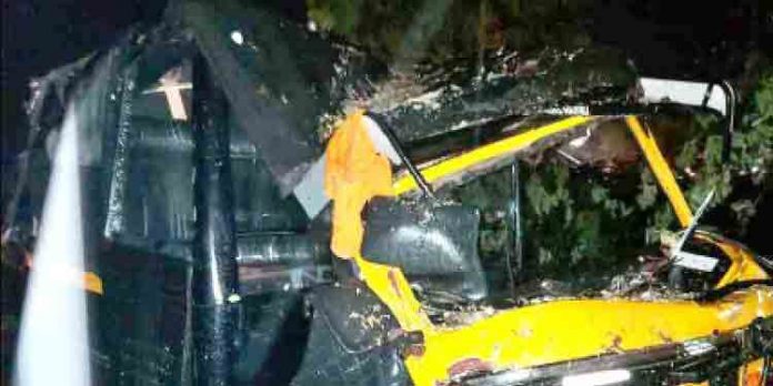 ഓടിക്കൊണ്ടിരുന്ന ഓട്ടോയ്ക്കു മുകളില് മരം വീണ് അപകടം ഓടിക്കൊണ്ടിരുന്ന ഓട്ടോയ്ക്കു മുകളില് മരം വീണ് അപകടം