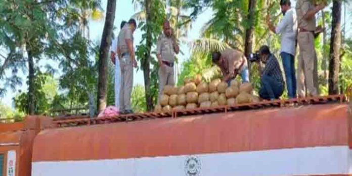 പെരുമ്പാവൂരില് വന് ലഹരിവേട്ട ; ടാങ്കര് ലോറിയില് നിന്ന് 300 കിലോ കഞ്ചാവ് പിടികൂടി പെരുമ്പാവൂരില് വന് ലഹരിവേട്ട ; ടാങ്കര് ലോറിയില് നിന്ന് 300 കിലോ കഞ്ചാവ് പിടികൂടി