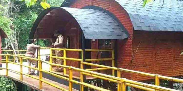 അടവിയിലെ മുളങ്കുടിലുകള് പൊതുജനങ്ങള്ക്ക് തുറന്നുനല്കി അടവിയിലെ മുളങ്കുടിലുകള് പൊതുജനങ്ങള്ക്ക് തുറന്നുനല്കി