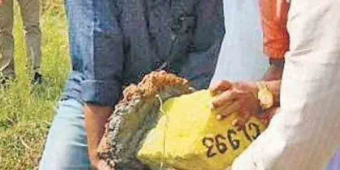 ഒരിടവേളയ്ക്ക് ശേഷം കെ റെയില് പ്രതിഷേധം സംസ്ഥാനത്ത് വീണ്ടും കടുക്കുന്നു ഒരിടവേളയ്ക്ക് ശേഷം കെ റെയില് പ്രതിഷേധം സംസ്ഥാനത്ത് വീണ്ടും കടുക്കുന്നു