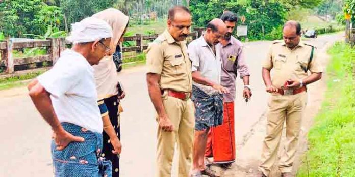 തലയാട് പടിക്കല് വയലില് കടുവയെ വീണ്ടും നേരിട്ടുകണ്ടതായി യുവാവ് തലയാട് പടിക്കല് വയലില് കടുവയെ വീണ്ടും നേരിട്ടുകണ്ടതായി യുവാവ്