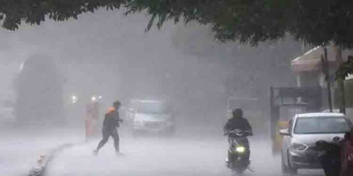 സംസ്ഥാനത്ത് ഇന്നും ശക്തമായ മഴയ്ക്ക് സാധ്യത ; വയനാട് യെല്ലോ അലർട്ട് സംസ്ഥാനത്ത് ഇന്നും ശക്തമായ മഴയ്ക്ക് സാധ്യത ; വയനാട് യെല്ലോ അലർട്ട്