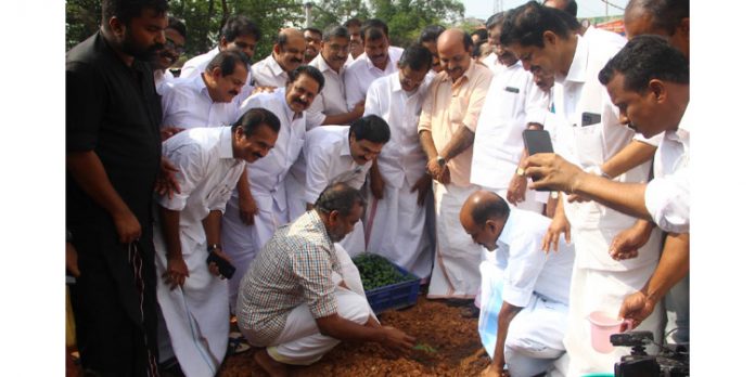 കെ.എം മാണിയുടെ ഓര്മ്മ ദിനത്തില് കൃഷി പരിപോഷിപ്പിക്കുന്നത് മാതൃകാപരം : മന്ത്രി പി. പ്രസാദ് കെ.എം മാണിയുടെ ഓര്മ്മ ദിനത്തില് കൃഷി പരിപോഷിപ്പിക്കുന്നത് മാതൃകാപരം : മന്ത്രി പി. പ്രസാദ്