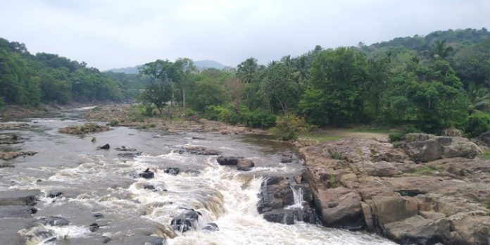 പെരുന്തേനരുവി കുടിവെള്ള വിതരണ പദ്ധതിയില് നിന്ന് വീണ്ടും ജലവിതരണം ആരംഭിച്ചു പെരുന്തേനരുവി കുടിവെള്ള വിതരണ പദ്ധതിയില് നിന്ന് വീണ്ടും ജലവിതരണം ആരംഭിച്ചു