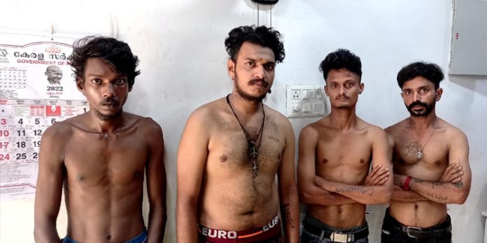 വീണ്ടും കഞ്ചാവ് വേട്ട : തമിഴ്നാട് സ്വദേശി പോലീസ് പിടിയിൽ വീണ്ടും കഞ്ചാവ് വേട്ട : തമിഴ്നാട് സ്വദേശി പോലീസ് പിടിയിൽ