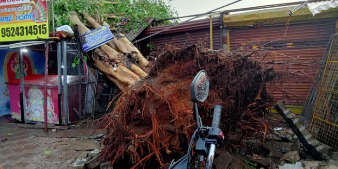 കനത്ത മഴയിലും കാറ്റിലും റാന്നിയിൽ വ്യാപക നാശനഷ്ടം കനത്ത മഴയിലും കാറ്റിലും റാന്നിയിൽ വ്യാപക നാശനഷ്ടം