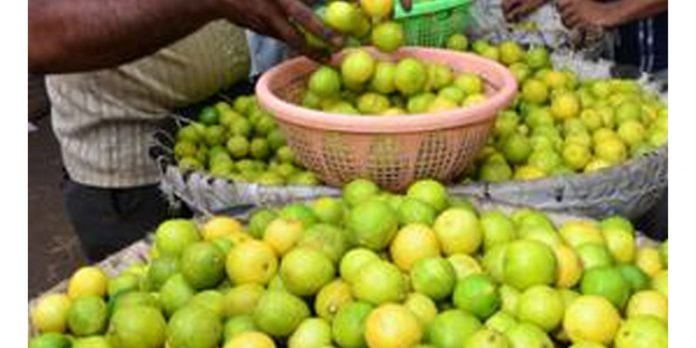 ഡബിൾ സെഞ്ചുറിയടിച്ച് ചെറുനാരങ്ങ വില ; ഇത് ചരിത്രത്തിലാദ്യം ഡബിൾ സെഞ്ചുറിയടിച്ച് ചെറുനാരങ്ങ വില ; ഇത് ചരിത്രത്തിലാദ്യം