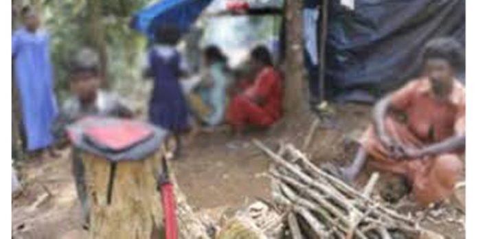 അട്ടത്തോട് കോളനിക്കും അടിച്ചിപ്പുഴ കോളനിക്കും ഒരു കോടി രൂപ വീതം അനുവദിച്ചു അട്ടത്തോട് കോളനിക്കും അടിച്ചിപ്പുഴ കോളനിക്കും ഒരു കോടി രൂപ വീതം അനുവദിച്ചു