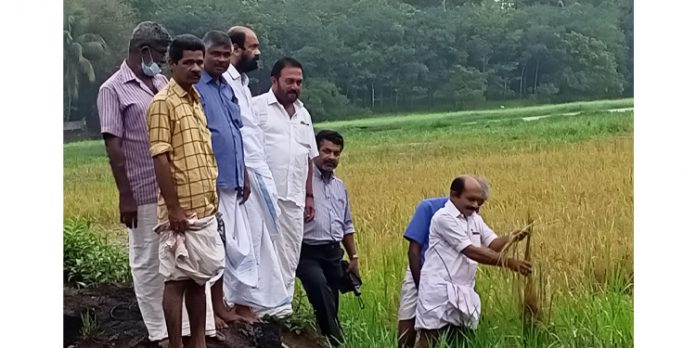 കർഷകർക്ക് അടിയന്തര നഷ്ടപരിഹാരം നൽകാൻ സർക്കാർ തയ്യാറാവണം ; പുതുശ്ശേരി കർഷകർക്ക് അടിയന്തര നഷ്ടപരിഹാരം നൽകാൻ സർക്കാർ തയ്യാറാവണം ; പുതുശ്ശേരി