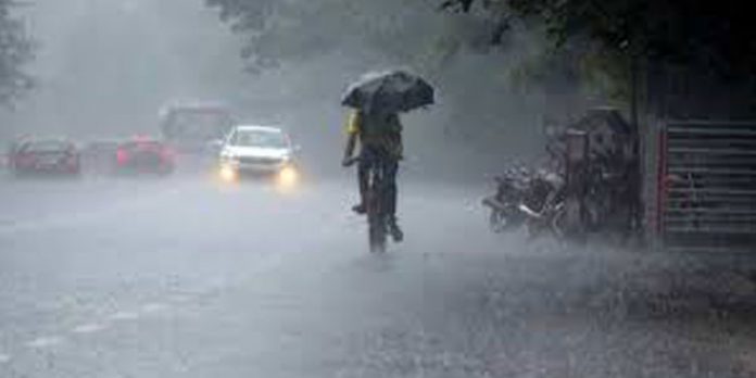ശ്രീലങ്കയ്ക്ക് മുകളിലായി ചക്രവാതച്ചുഴി ; കേരളത്തിൽ മഴ തുടരും – 5 ജില്ലകളിൽ യെല്ലോ അലർട്ട് ശ്രീലങ്കയ്ക്ക് മുകളിലായി ചക്രവാതച്ചുഴി ; കേരളത്തിൽ മഴ തുടരും – 5 ജില്ലകളിൽ യെല്ലോ അലർട്ട്