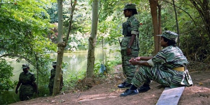 എൽടിടിഇയുടെ വളർച്ചയ്ക്ക് തമിഴ്നാട് കേന്ദ്രമാകുമോ ? എൽടിടിഇയുടെ വളർച്ചയ്ക്ക് തമിഴ്നാട് കേന്ദ്രമാകുമോ ?