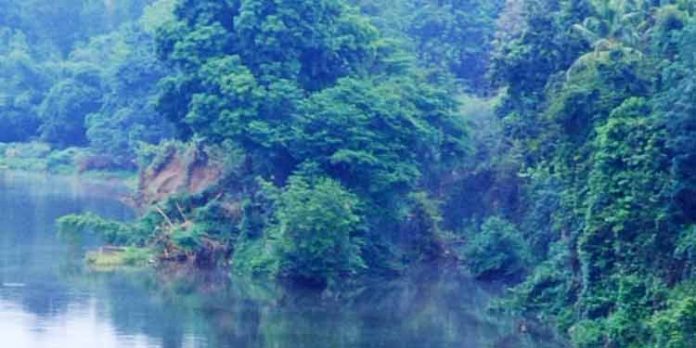 മണി മലയാറിന്റെ മധ്യത്തിലെ പച്ചത്തുരുത്ത് ഓർമയാകുന്നു മണി മലയാറിന്റെ മധ്യത്തിലെ പച്ചത്തുരുത്ത് ഓർമയാകുന്നു
