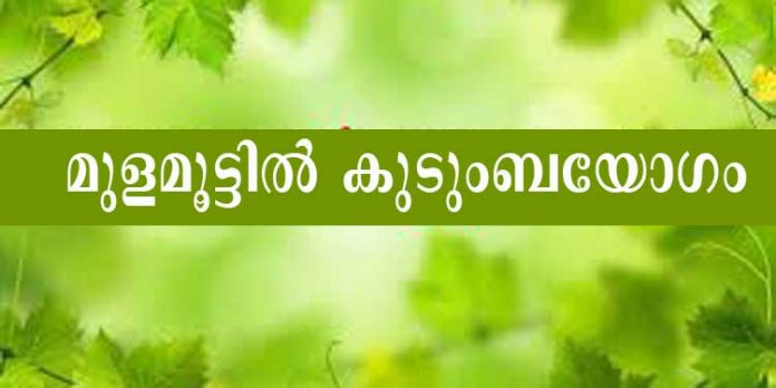 കോഴഞ്ചേരി മുളമൂട്ടിൽ കുടുംബയോഗം ; വാർഷിക സമ്മേളനം മേയ് 2ന് കോഴഞ്ചേരി മുളമൂട്ടിൽ കുടുംബയോഗം ; വാർഷിക സമ്മേളനം മേയ് 2ന്