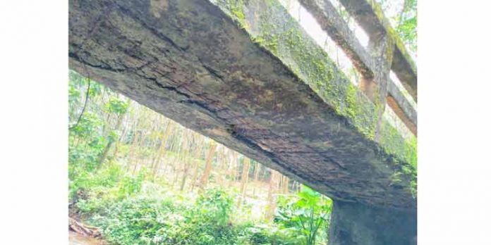 പഴവങ്ങാടി – നാറാണംമൂഴി പഞ്ചായത്തിനെ ബന്ധിപ്പിക്കുന്ന തോടിനു കുറുകെയുള്ള നടപ്പാലം തകര്ച്ചയുടെ വക്കില് പഴവങ്ങാടി – നാറാണംമൂഴി പഞ്ചായത്തിനെ ബന്ധിപ്പിക്കുന്ന തോടിനു കുറുകെയുള്ള നടപ്പാലം തകര്ച്ചയുടെ വക്കില്