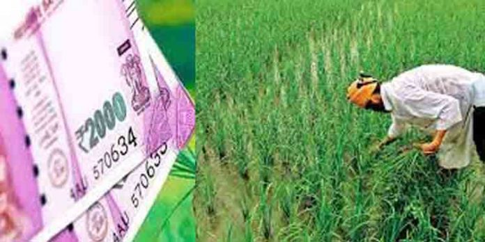 പി.എം കിസാന് സഹായം കൈപ്പറ്റിയവരില് 30,416 പേര് അനര്ഹര് ; പണം ഉടന് തിരിച്ചടയ്ക്കണമെന്ന് കേന്ദ്രം പി.എം കിസാന് സഹായം കൈപ്പറ്റിയവരില് 30,416 പേര് അനര്ഹര് ; പണം ഉടന് തിരിച്ചടയ്ക്കണമെന്ന് കേന്ദ്രം