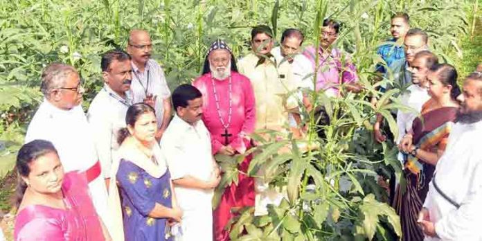കൃഷി ചെയ്യേണ്ടത് എല്ലാവരുടെയും ഉത്തരവാദിത്തം : എം എൽ എ പ്രമോദ് നാരായൺ കൃഷി ചെയ്യേണ്ടത് എല്ലാവരുടെയും ഉത്തരവാദിത്തം : എം എൽ എ പ്രമോദ് നാരായൺ