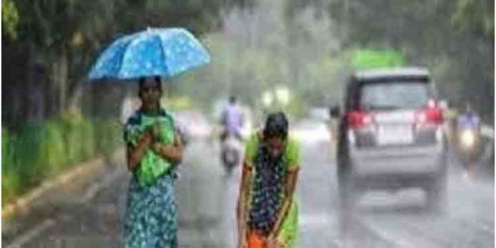 ഞായറാഴ്ച മുതല് പരക്കെ മഴയ്ക്ക് സാധ്യത ; ഇടുക്കിയില് ഇന്ന് യല്ലോ അലേര്ട്ട് ഞായറാഴ്ച മുതല് പരക്കെ മഴയ്ക്ക് സാധ്യത ; ഇടുക്കിയില് ഇന്ന് യല്ലോ അലേര്ട്ട്