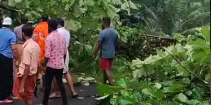 കോട്ടയം കൊടുങ്ങൂരില് ശക്തമായ കാറ്റില് വ്യാപക നാശനഷ്ടം കോട്ടയം കൊടുങ്ങൂരില് ശക്തമായ കാറ്റില് വ്യാപക നാശനഷ്ടം