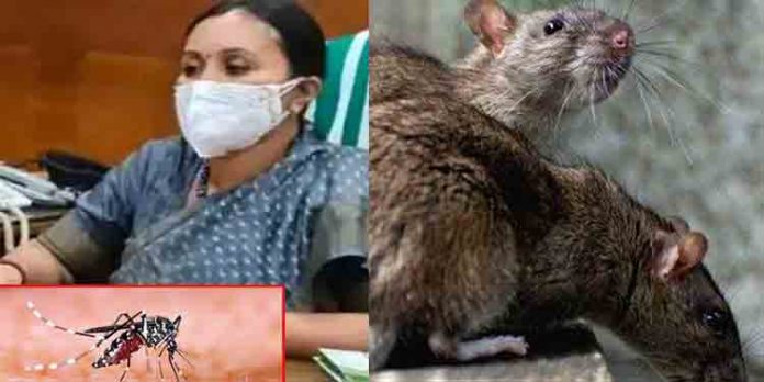 എല്ലാ ആശുപത്രികളിലും ഡോക്സി കോര്ണറുകള് സ്ഥാപിക്കും ; ആരോഗ്യമന്ത്രി എല്ലാ ആശുപത്രികളിലും ഡോക്സി കോര്ണറുകള് സ്ഥാപിക്കും ; ആരോഗ്യമന്ത്രി