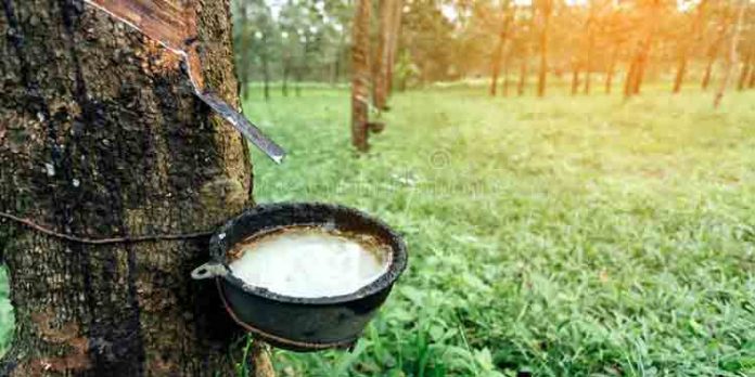റബര് സബ്സിഡിയുടെ മറവില് കർഷക പെൻഷൻ റദ്ദ് ചെയ്യുന്ന സര്ക്കാര് ഉത്തരവ് പിന്വലിക്കണം : ഇന്ഫാം റബര് സബ്സിഡിയുടെ മറവില് കർഷക പെൻഷൻ റദ്ദ് ചെയ്യുന്ന സര്ക്കാര് ഉത്തരവ് പിന്വലിക്കണം : ഇന്ഫാം