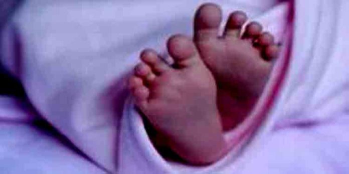 21 ദിവസം പ്രായമായ കുഞ്ഞിനെ അമ്മ പ്ലാസ്റ്റിക്കിൽ പൊതിഞ്ഞ് വീടിന് സമീപത്തെ തോട്ടിലെറിഞ്ഞു 21 ദിവസം പ്രായമായ കുഞ്ഞിനെ അമ്മ പ്ലാസ്റ്റിക്കിൽ പൊതിഞ്ഞ് വീടിന് സമീപത്തെ തോട്ടിലെറിഞ്ഞു