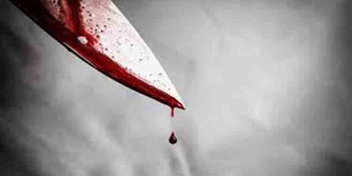 പാലക്കാട് സിനിമാ പ്രവര്ത്തകന് കുത്തേറ്റു പാലക്കാട് സിനിമാ പ്രവര്ത്തകന് കുത്തേറ്റു
