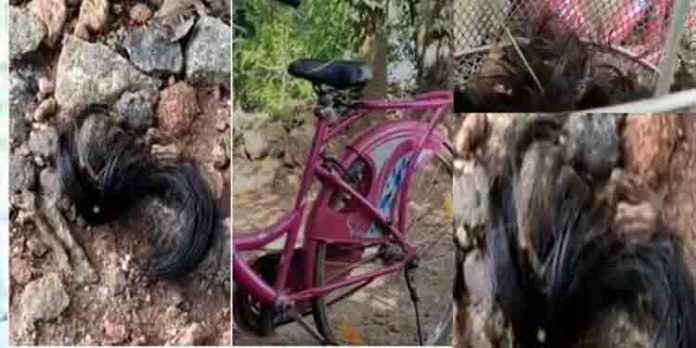 ചാലക്കുടിയില് പെണ്കുട്ടിയുടെ തലമുടി മുറിയ്ക്കുകയും മര്ദ്ദിക്കുകയും ചെയ്തതെന്ന ആരോപണം വ്യാജമെന്ന് പോലീസ് ചാലക്കുടിയില് പെണ്കുട്ടിയുടെ തലമുടി മുറിയ്ക്കുകയും മര്ദ്ദിക്കുകയും ചെയ്തതെന്ന ആരോപണം വ്യാജമെന്ന് പോലീസ്