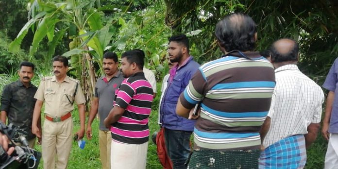 കീക്കൊഴൂര് പുതമണ് ഭാഗത്ത് പുലിയെ കണ്ടെന്ന വാര്ത്ത നാട്ടുകാരെ ഭീതിയിലാഴ്ത്തി കീക്കൊഴൂര് പുതമണ് ഭാഗത്ത് പുലിയെ കണ്ടെന്ന വാര്ത്ത നാട്ടുകാരെ ഭീതിയിലാഴ്ത്തി