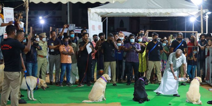 ഇവര് ഡോഗ് സ്ക്വാഡിന്റെ അഭിമാനം മുത്തുകള് ഇവര് ഡോഗ് സ്ക്വാഡിന്റെ അഭിമാനം മുത്തുകള്