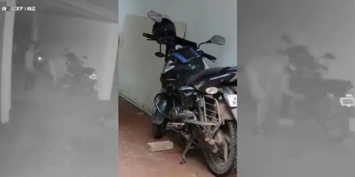 ബൈക്കിലെ പെട്രോള് ഊറ്റിയെടുത്ത് കള്ളന്മാര് ; വലഞ്ഞ് നാട്ടുകാര് ബൈക്കിലെ പെട്രോള് ഊറ്റിയെടുത്ത് കള്ളന്മാര് ; വലഞ്ഞ് നാട്ടുകാര്