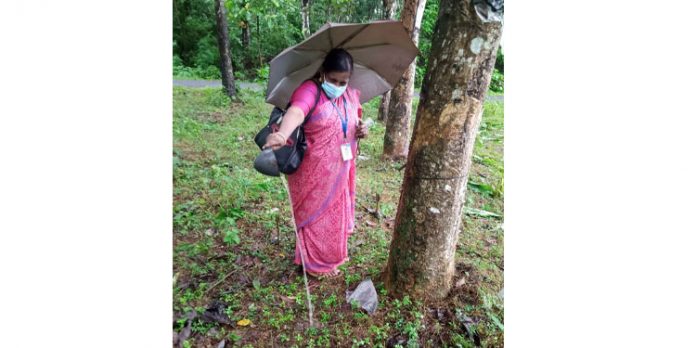 മഴക്കാല പൂർവ ശുചികരണവുമായി കോട്ടാങ്ങൽ പഞ്ചായത്ത് മഴക്കാല പൂർവ ശുചികരണവുമായി കോട്ടാങ്ങൽ പഞ്ചായത്ത്